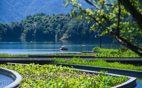 缘分跑过山 200到300，湖乱跑的报名费究竟触动了谁的神经